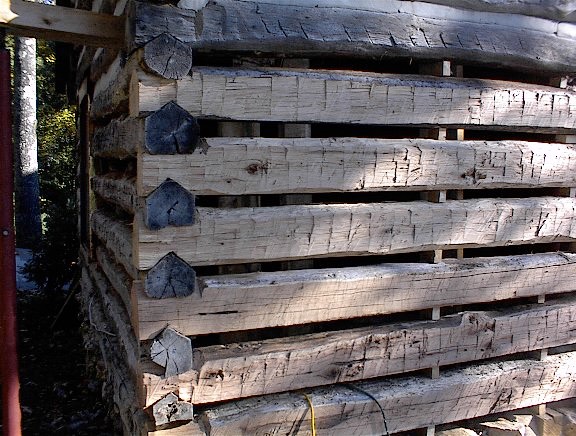 hand hewn logs after they wer installed on a log home which was built using 100 year old logs.