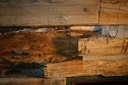 rotten logs before restoration